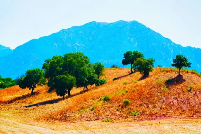 האי סרדיניה מורכב מ-4 פרובינציות - סאסארי בצפון, נואורו וגם אוריסטנו במרכז, בדרום סוד סרדיניה