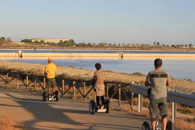 ספארי קליארי - Molentargius Natural Park credit to getyourguide.com