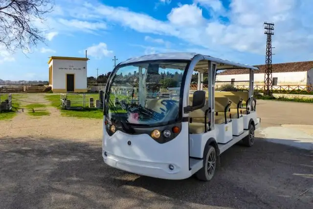 ספארי קליארי - Molentargius Natural Park credit to getyourguide.com