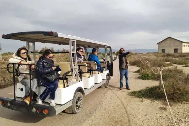 ספארי קליארי - Molentargius Natural Park credit to getyourguide.com