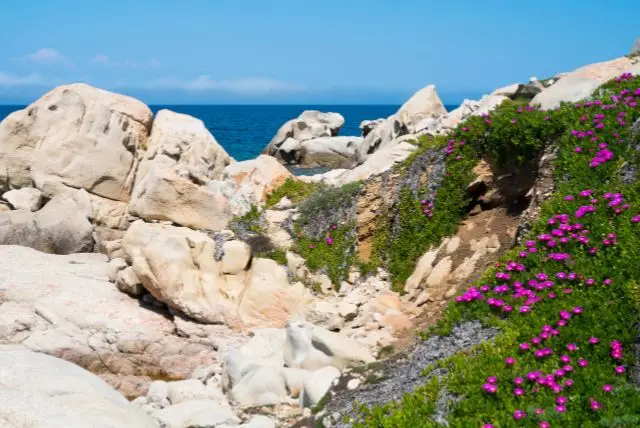 האיים המרכזיים של ארכיפלג איי המדלנה (La Maddalena)