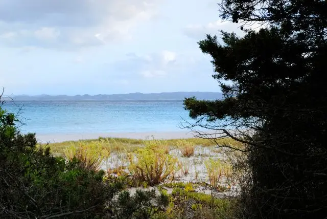 האי בודלי (Budelli) מבין איי המדלנה