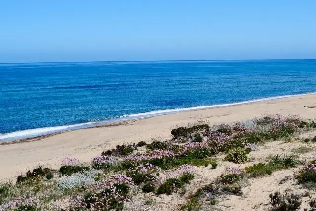חוף Poltu Biancu באיזור באדזי בסרדיניה