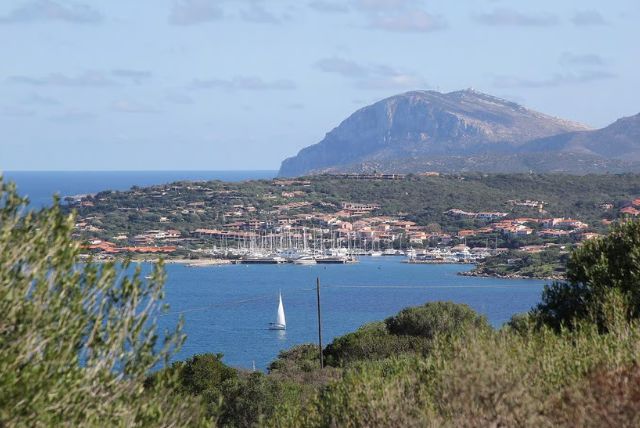 אולביה (Olbia) - עיר בצפון מזרח סרדיניה credit to getyourguide.com
