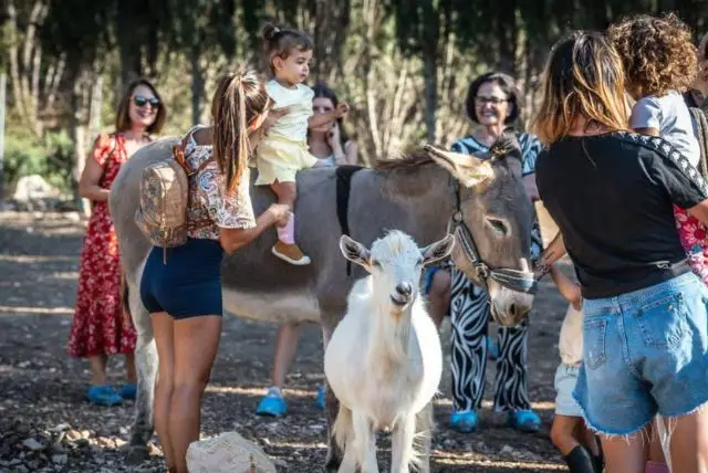 סרדיניה עם תינוק/ת - המלצות לטיול עם עגלה / מנשא תינוקות בסרדיניה getyourguide.com