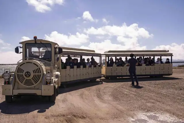 טיול ברכבת התיירים של קליארי אל מפעל המלח קונטי וקי credit to getyourguide.com