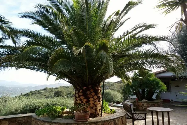 סרדיניה בדצמבר – שווקי חג המולד, מזג אוויר חורפי ואטרקציות מיוחדות