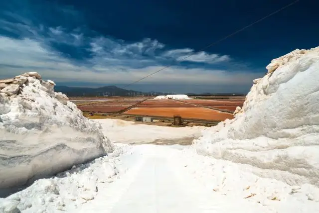 טיול ברכבת התיירים של קליארי אל מפעל המלח קונטי וקי credit to getyourguide.com