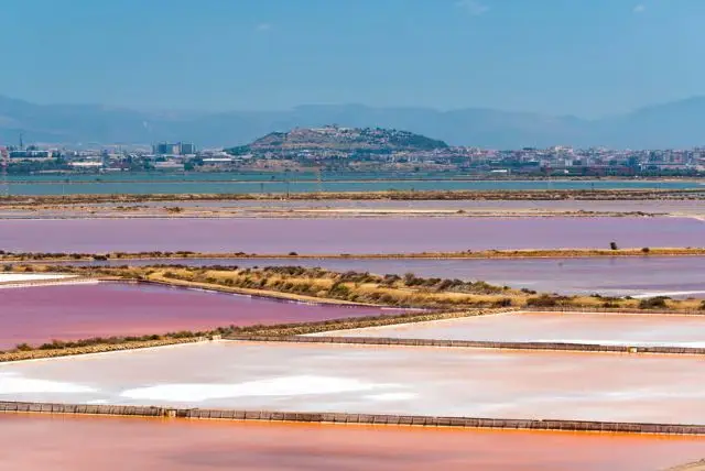 טיול ברכבת התיירים של קליארי אל מפעל המלח קונטי וקי credit to getyourguide.com