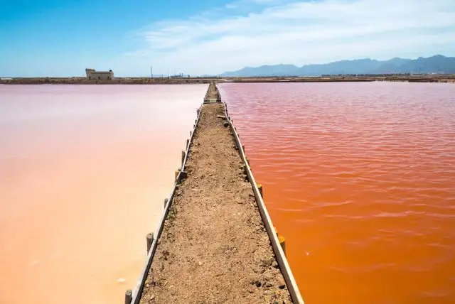 טיול ברכבת התיירים של קליארי אל מפעל המלח קונטי וקי credit to getyourguide.com
