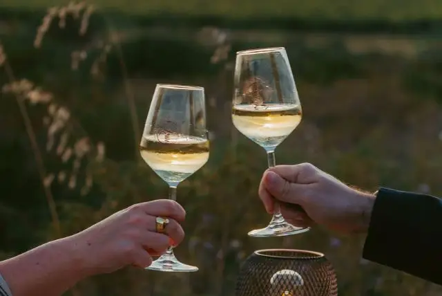 יין סרדיניה - הכל על היינות המקומיים של סרדיניה (יין אדום / לבן) credit to getyourguide.com