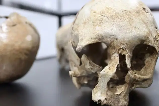 תצפית מגדל טורה די לונגוסרדו (Torre di Longonsardo) בסנטה תרזה גאלורה credit to getyourguide.com