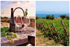 סיור יין בסרדיניה credit to getyourguide.com