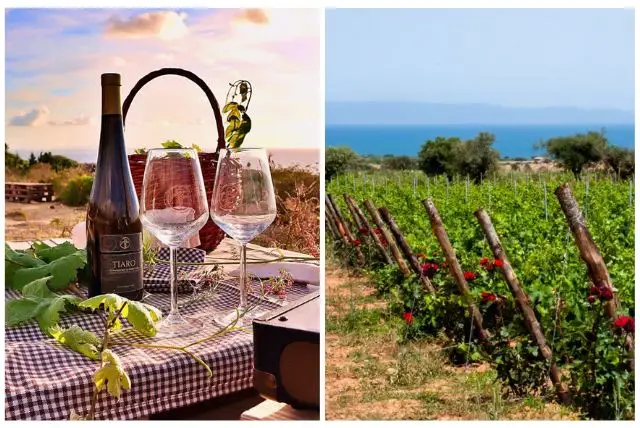 סיור יין בסרדיניה credit to getyourguide.com