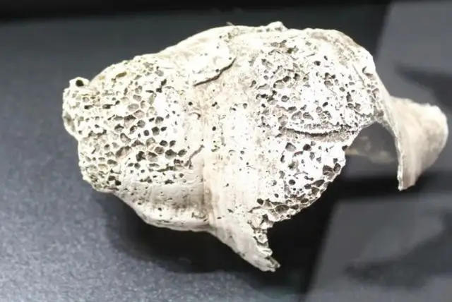 האתר הארכיאולוגי לו ברנדלי - The archaeological site Lu Brandli בסנטה תרזה גאלורה credit to getyourguide.com