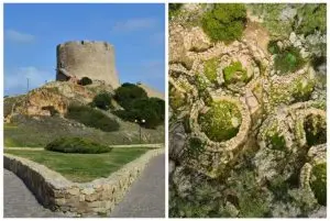 האתר הארכיאולוגי לו ברנדלי - The archaeological site Lu Brandli בסנטה תרזה גאלורה credit to getyourguide.com