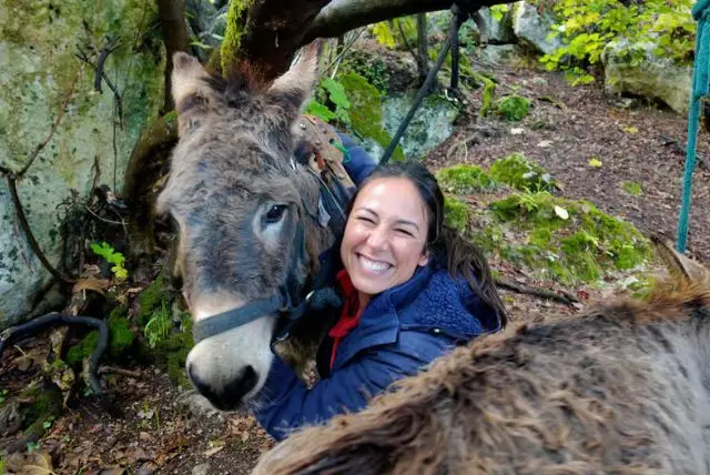 אי אסינארה (Asinara) בסרדיניה - "אי החמורים" credit to getyourguide.com