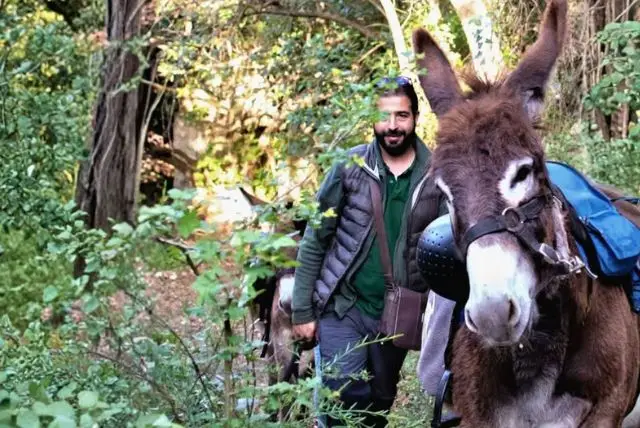 אי אסינארה (Asinara) בסרדיניה - "אי החמורים" credit to getyourguide.com