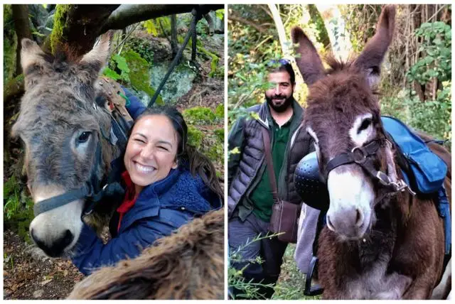 ביקור בחוות חמורים בקליארי credit to getyourguide.com