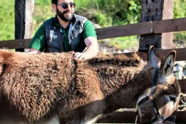 ביקור בחוות חמורים בקליארי credit to getyourguide.com