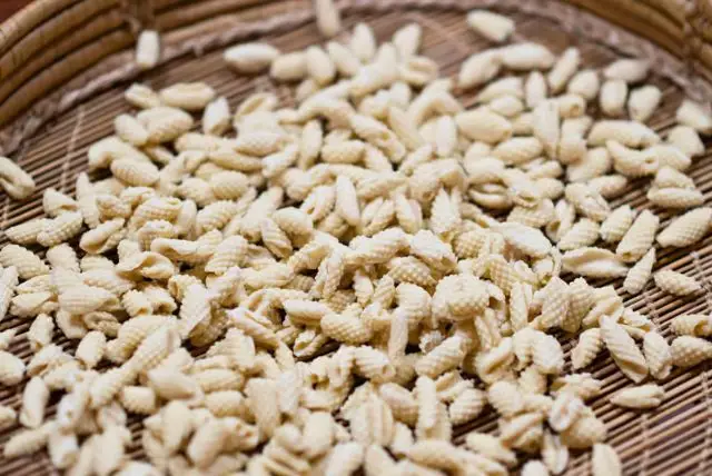 סדנת פסטה בסגנון סרדיניה עם שף מקצועי בעיר אולביה credit to getyourguide.com