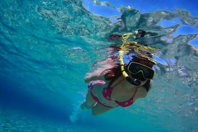 שנורקלינג בסרדיניה - מקומות מומלצים לשנרקל, מה רואים מתחת למים? כל ההמלצות