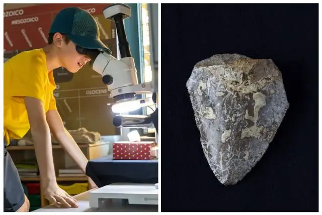 מוזיאון PARC - מוזיאון פליאונטולוגי וארכיאולוגי credit to getyourguide.com